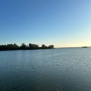 Meet your Posher, Alina